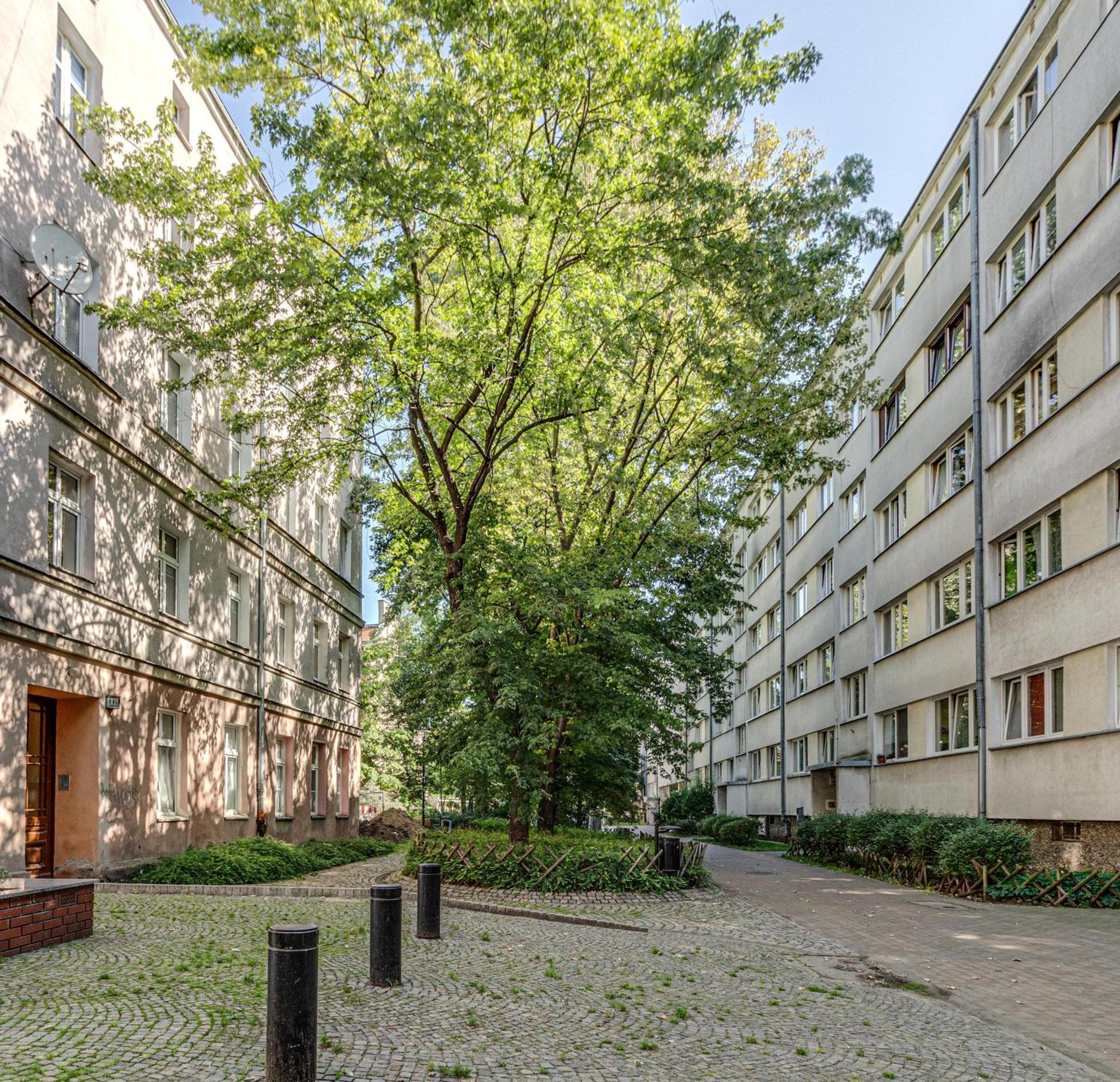 Rentplanet - Studio Nadodrze Wrocław Extérieur photo